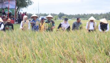 Dandim 0729/Bantul Hadiri Panen Bersama YSPN Perkuat Ketahanan Pangan Nasional