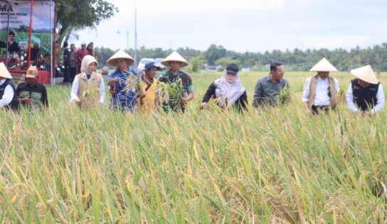 Dandim 0729/Bantul Hadiri Panen Bersama YSPN Perkuat Ketahanan Pangan Nasional