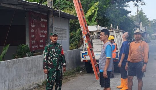 BABINSA CATURHARJO BANTU PENEBANGAN POHON RAWAN GANGGUAN JARINGAN LISTRIK