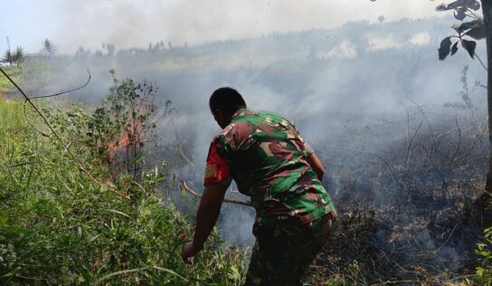 Gerak Cepat Babinsa Argosari Bersama Tim Gabungan Padamkan Kebakaran Lahan